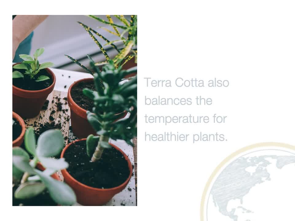 Pennington 2 in. Mini Terra Cotta Pot 100506840 - The Home Depot