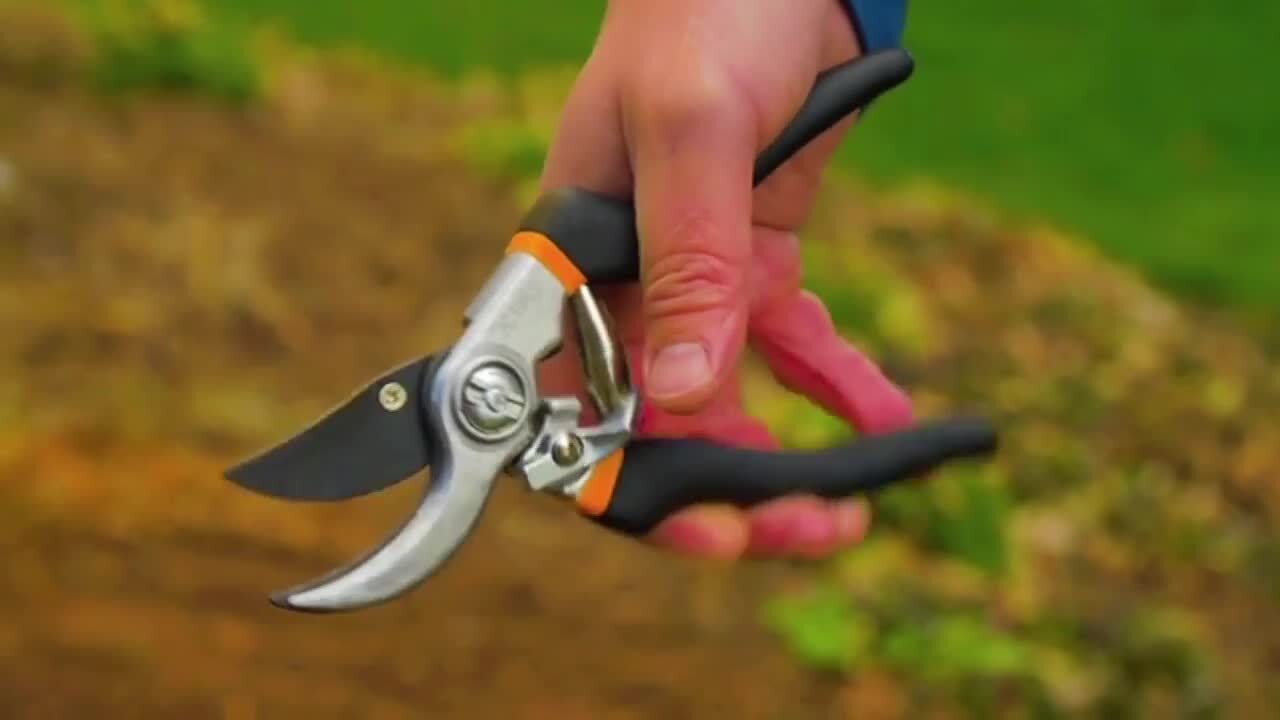 Super Shears (penny killer)