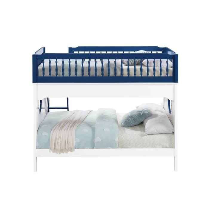 Navy blue bunk orders beds