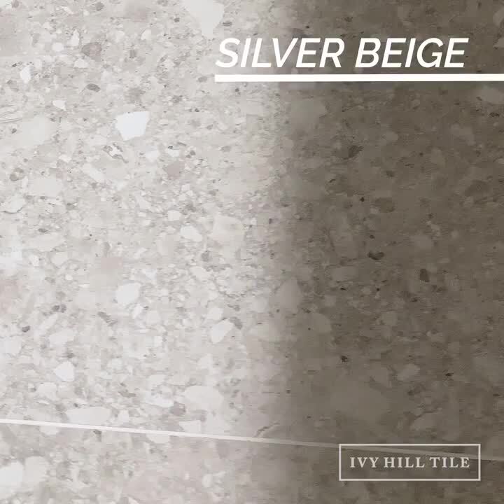 Ivy Hill Tile Luxe Terrazzo Gray 23.54 in. x 23.54 in. Matte