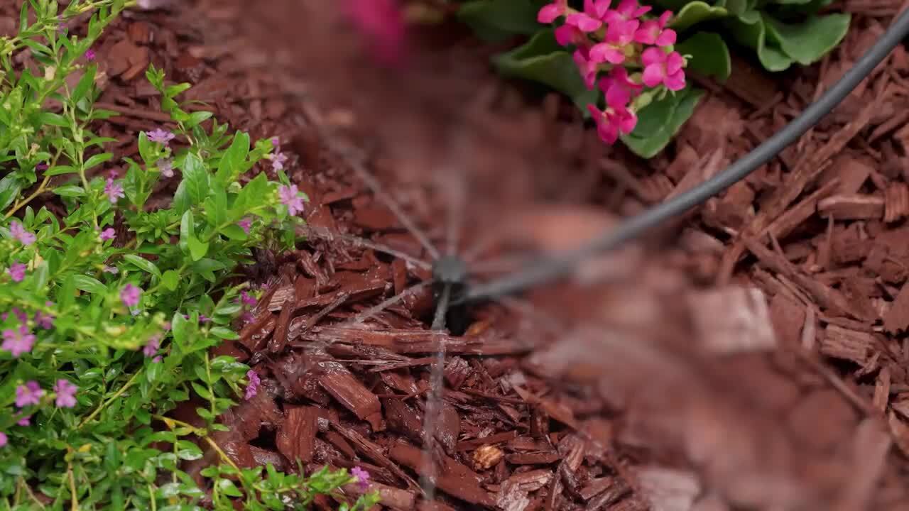 Orbit Irrigation Micro-Bubbler Sprinkler on 6 Stake with 1/4 in Connection