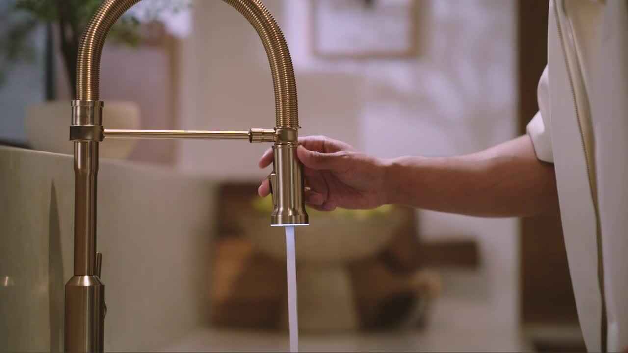 Delta Cordova Touch2O Spring Spout Gold Champagne Bronze 21.50 in