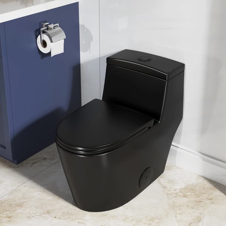 Hanikes 1-Piece 1.1/1.6 GPF Dual Flush Elongated WaterSense Toilet
