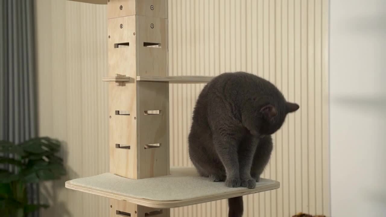 木台 コンディメント 木台(26cm) | 白山陶器直営オンラインストア