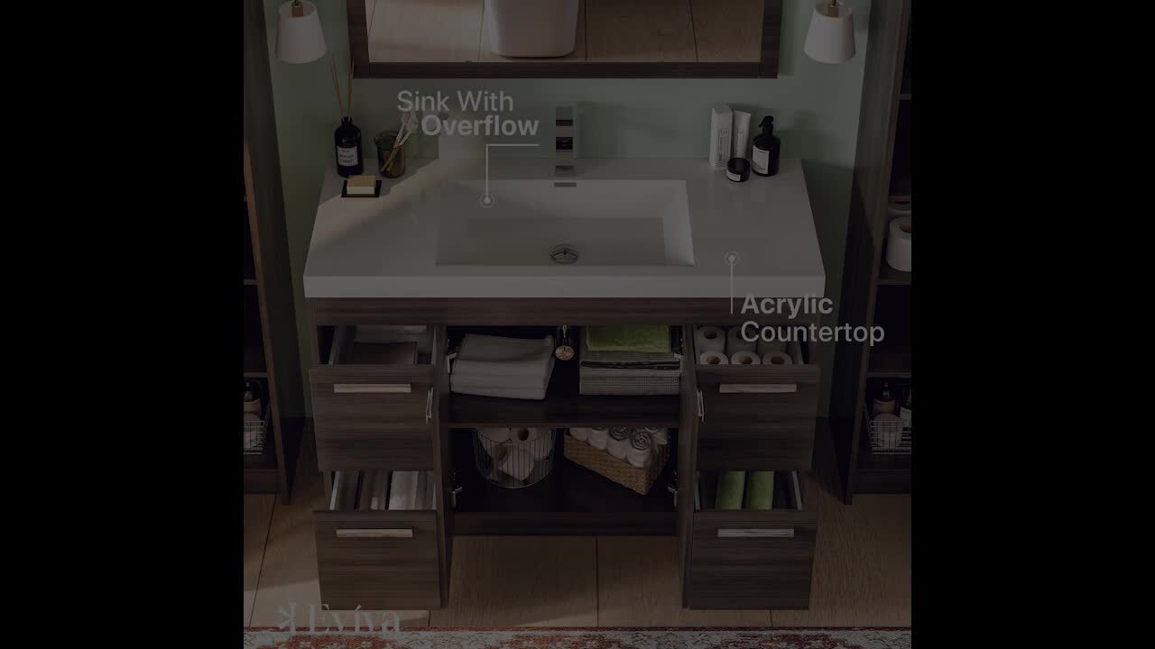 Eviva Lugano 42 in. W x 19 in. D x 36 in. H Single Bath Vanity in Cement Gray with White Acrylic Top and White Integrated Sink