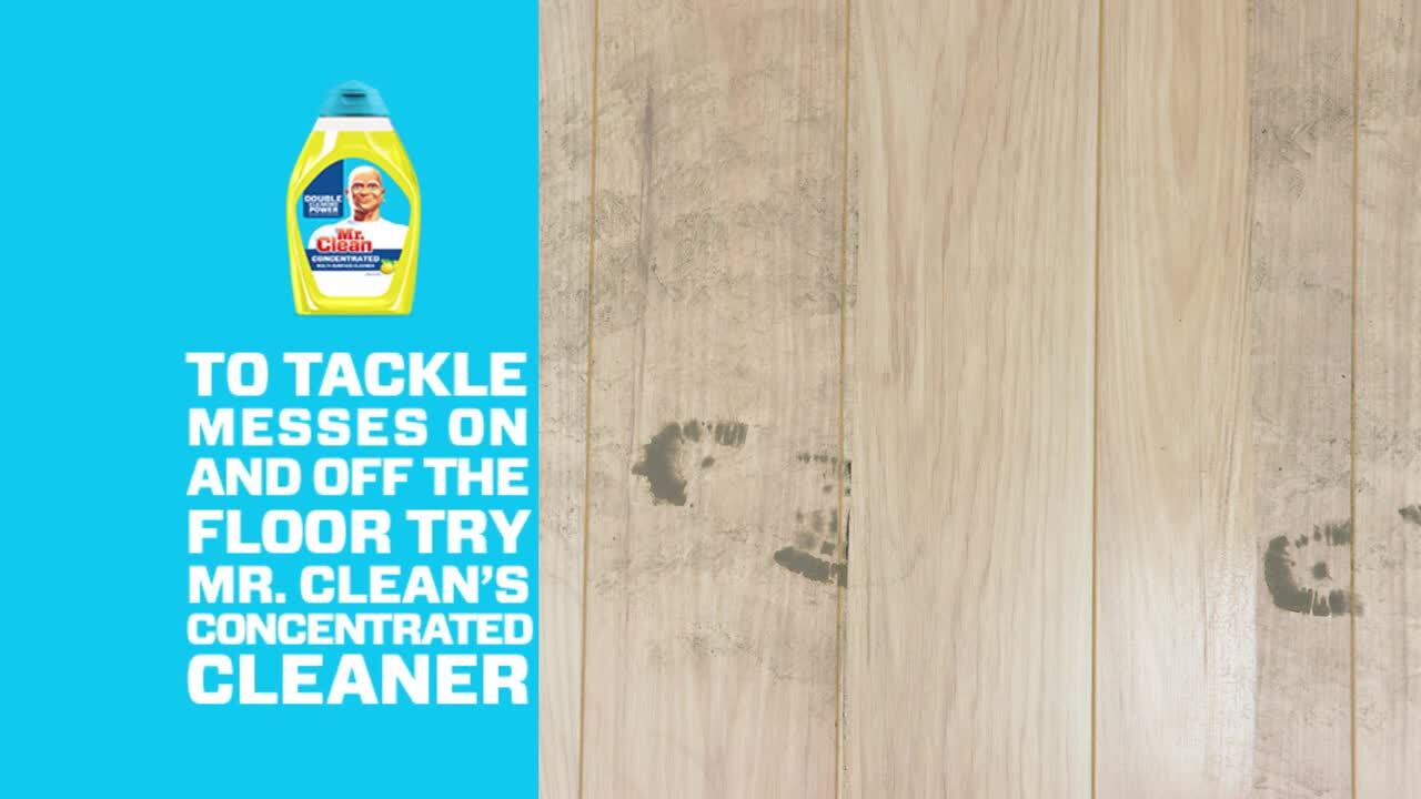Multi-Purpose Cleaner & Deodorizer Pet Odor Eliminator, Multi-Surface Cleaner Concentrate for Floor, Carpet, Hardwood, Tile - Ocean Breeze Scent, PH