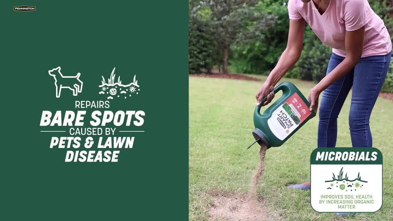 Pennington Smart Patch Dense Shade 10 lb. 200 sq. ft. Grass