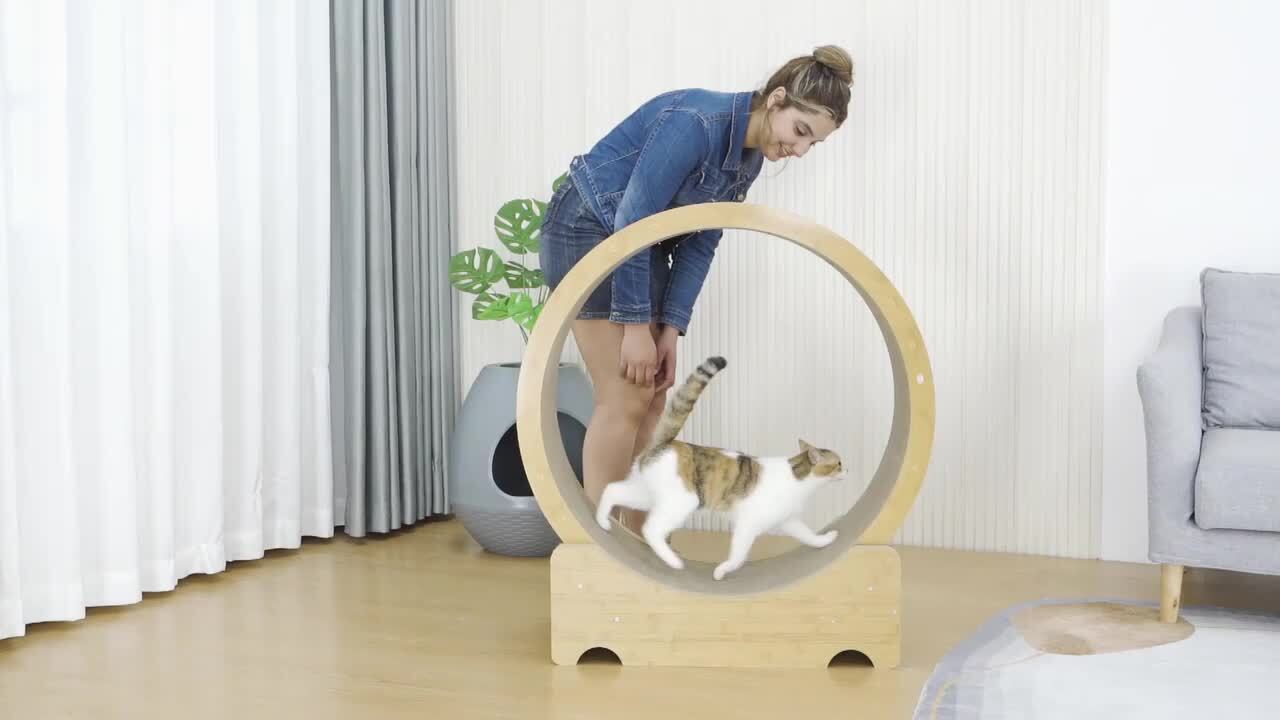 big cat wheel