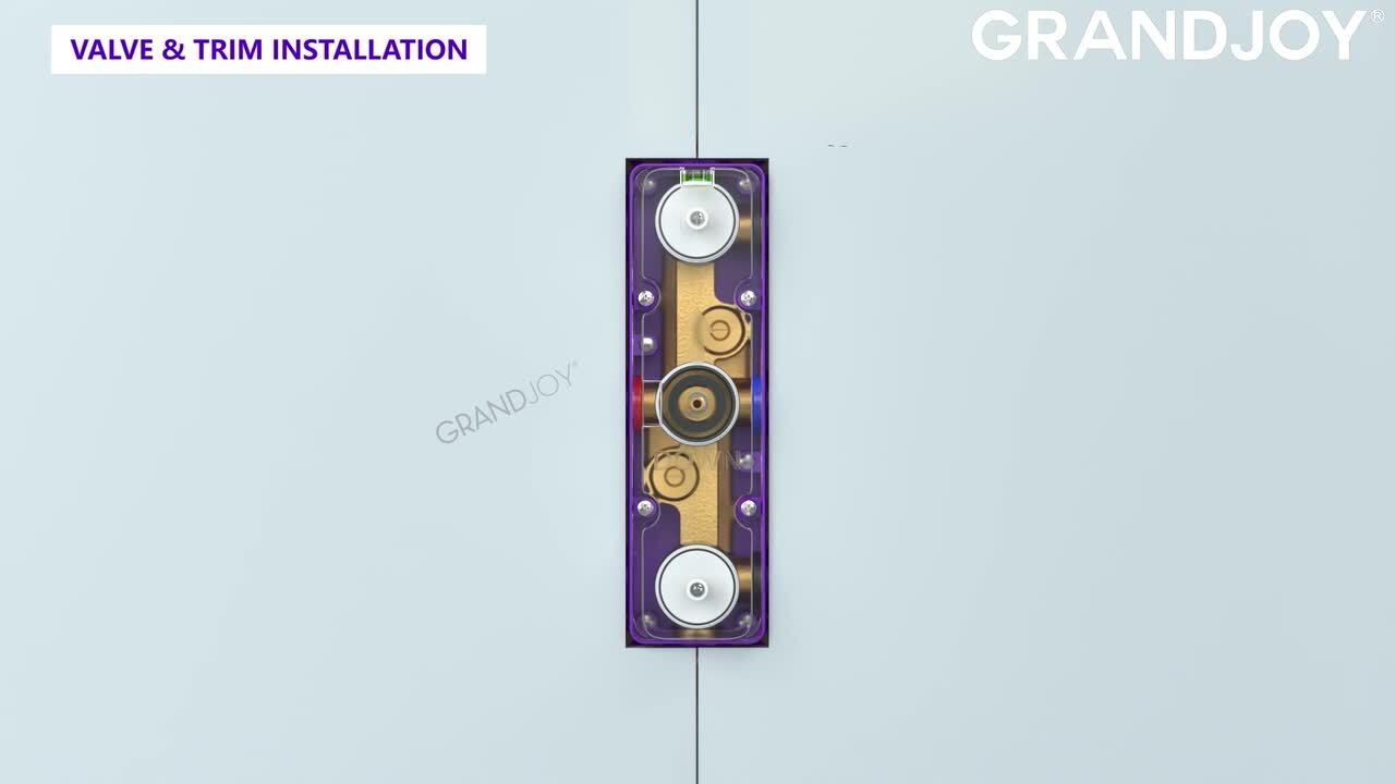 GRANDJOY ZenithRain Thermostatic Dual Showers 8-spray 12 in