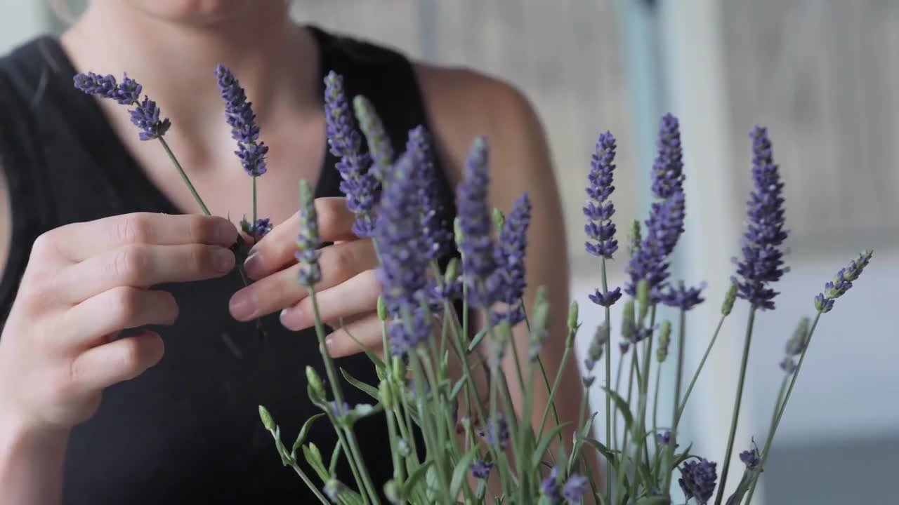 Back to the Roots Organic Lavender Grow Kit 25500 - The Home Depot