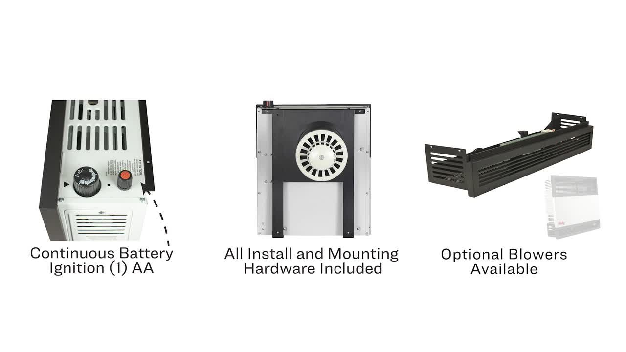 Ashley Hearth Products Ashley Direct Vent Wall Heater Dual Fuel