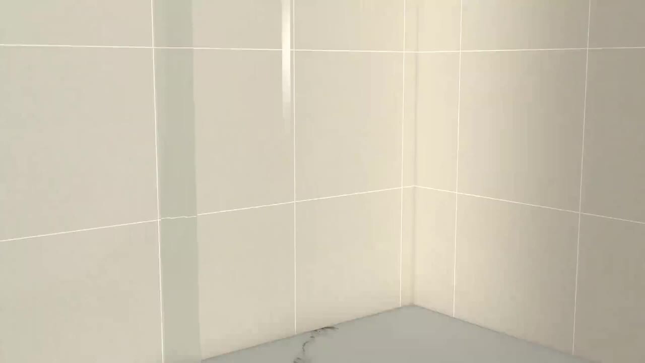 ANGELES HOME 60 in. W x 76 in. H Single Sliding Frameless Soft-closing Shower Door in Gold with 1/4 in. (6mm) Tempered Clear Glass