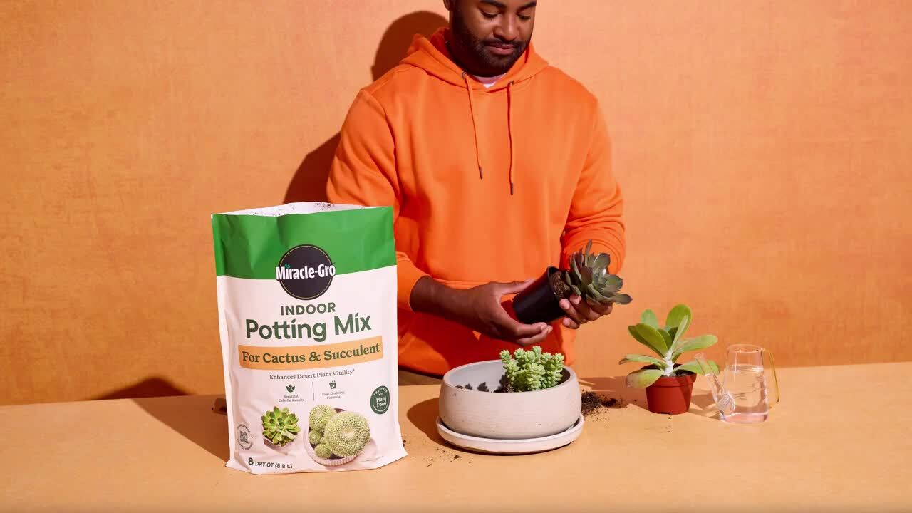 Miracle-Gro Indoor Potting Mix for Cactus and Succulent 8 qt. Fast-Draining  Cactus and Succulent Potting Soil with Plant Food 73078434