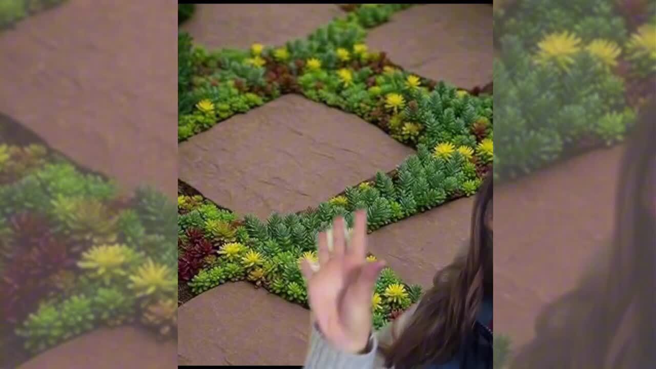 Altman Plants 10 inch x 20 inch Sedum Succulent Mat, Easy Hardy Live Succulents for Ground Cover