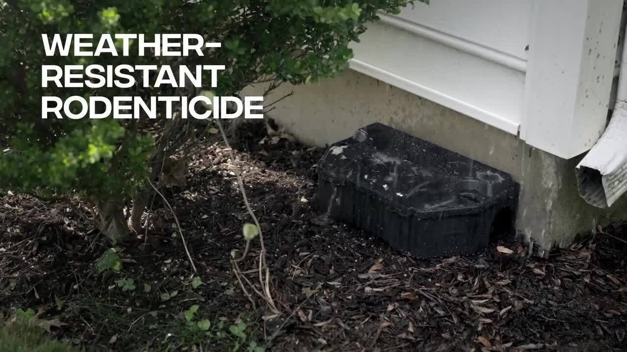 4LB Rodent Pest Killer - Weather-Resistant, Powerful Formula Eliminates Rats, Mice, and Meadow Voles