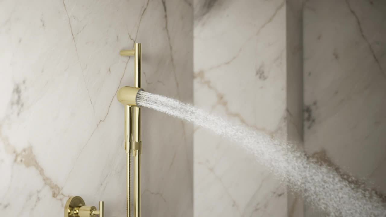 KOHLER Statement Iconic 1-Spray Patterns Wall Mount Handheld