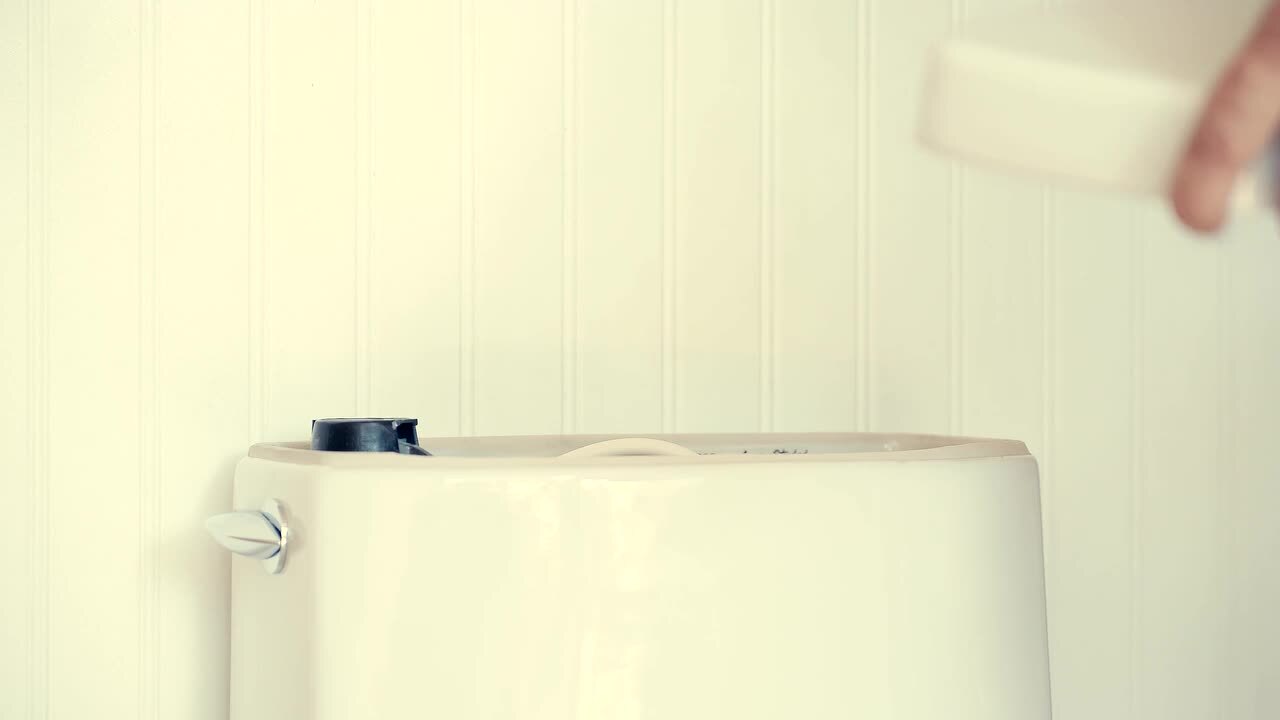 Colony 1-Piece 1.28 GPF Single Flush Elongated Toilet in White Seat Included Colony 1-Piece 1.28 GPF Single Flush Elongated Toilet in White Seat Included