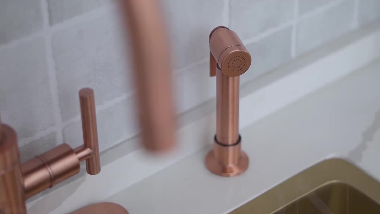 アトピロン 2個セット ② Akicon 2-Handles Standard Kitchen Faucet with Side Spray in