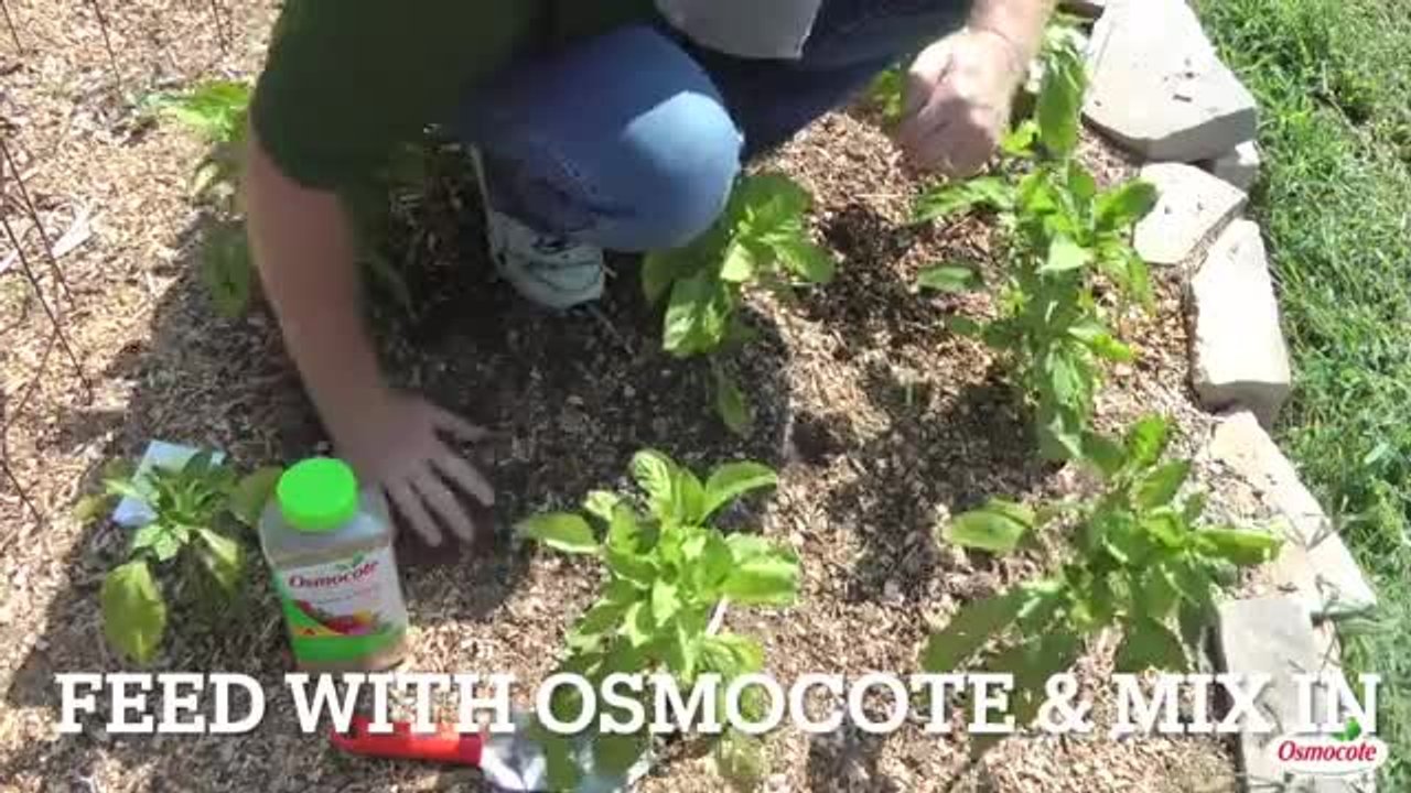 Reviews for Osmocote Smart-Release Plant Food for Flower and