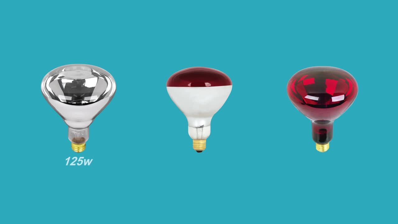 250-Watt Red BR40 Dimmable Incandescent 120-Volt Infrared Heat Lamp Light Bulb (1-Bulb)
