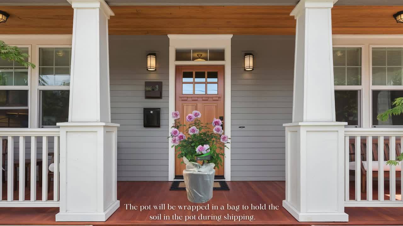 ロイヤルリモージュ PETIT JARDIN ロイヤルリモージュ PETIT JARDIN 【公式通販】