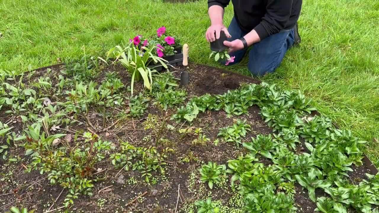 DeWit Forged Trowel X-Treme 31-3000 - The Home Depot