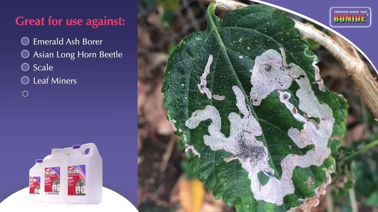 Reviews for Bonide Annual Tree and Shrub Insect Control with