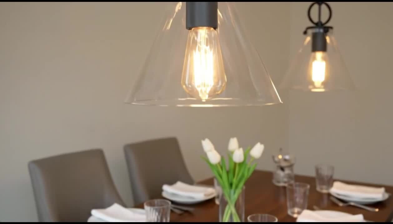 Henveton Jasslynn 60-Watts 1-Light Black Pendant Light with Clear