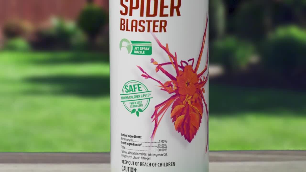 Shop Toxic Bomb Spray online