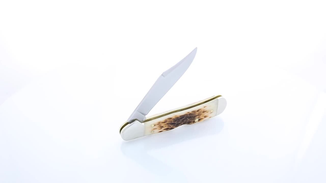 W. R. Case & Sons Cutlery Co Amber Bone Peach Seed Jig Mini W. R. Case & Sons Cutlery Co Amber Bone Peach Seed Jig Mini