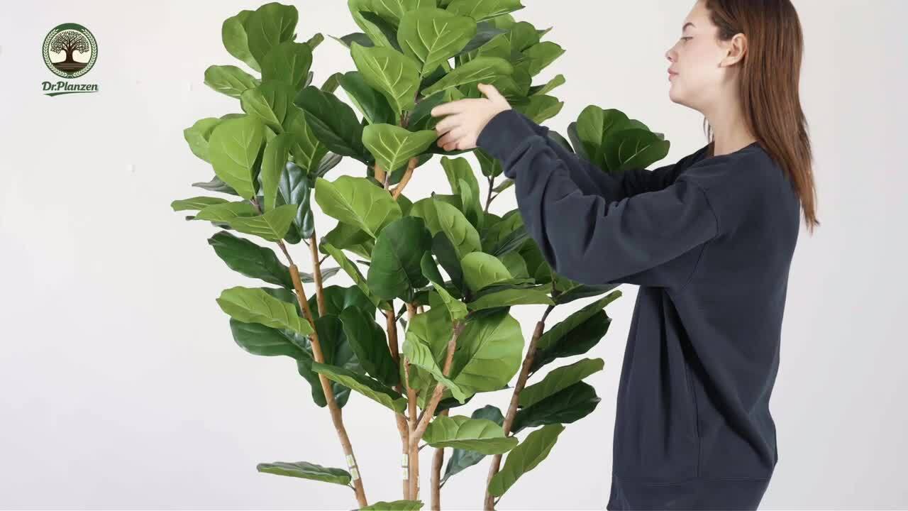 DR.Planzen Artificial 8 ft. Fiddle Leaf Fig Tree with White