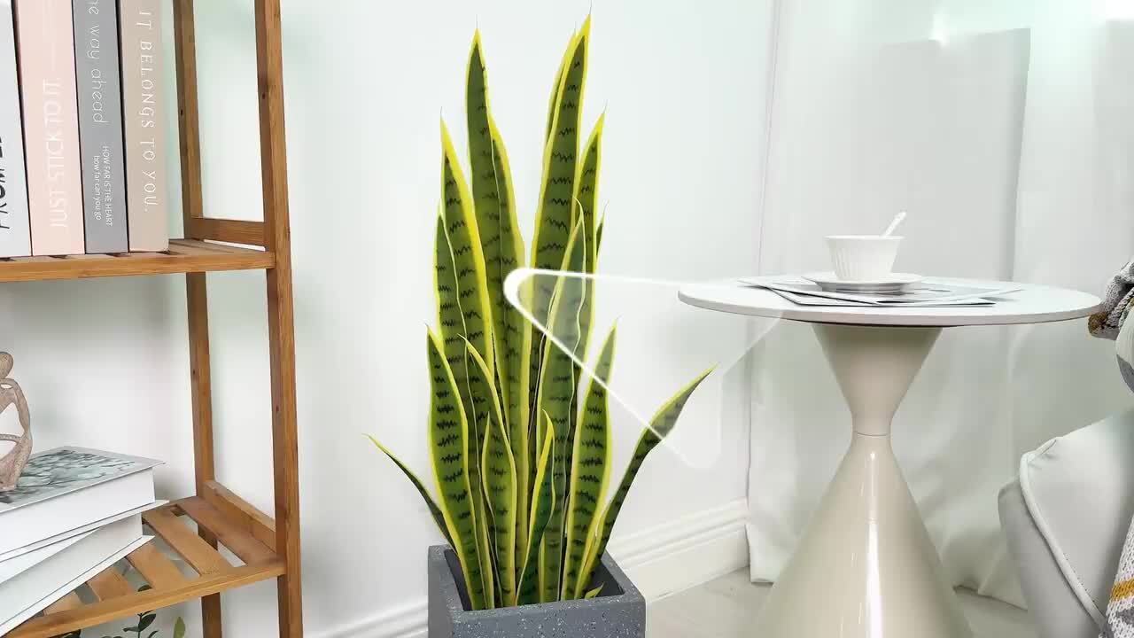 thuja smaragd gelb Kaufen Sie jetzt Konifere Lebensbaum Thuja 'Sunny Smaragd' - Winterhart  kaufen main image 0