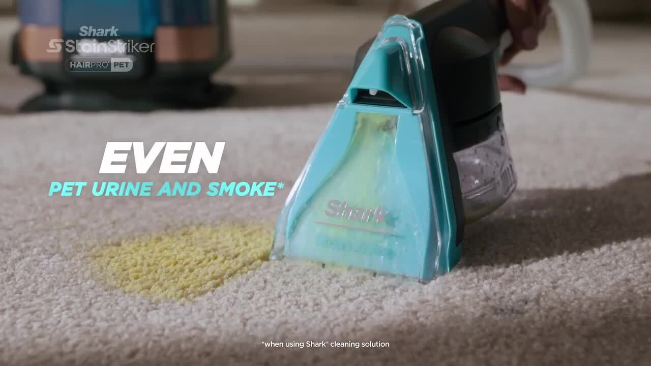 Shark StainStriker HairPro Pet Corded Stain Extractor and Deep Carpet Cleaner for Carpets, Area Rugs and Upholstery in Copper PX251