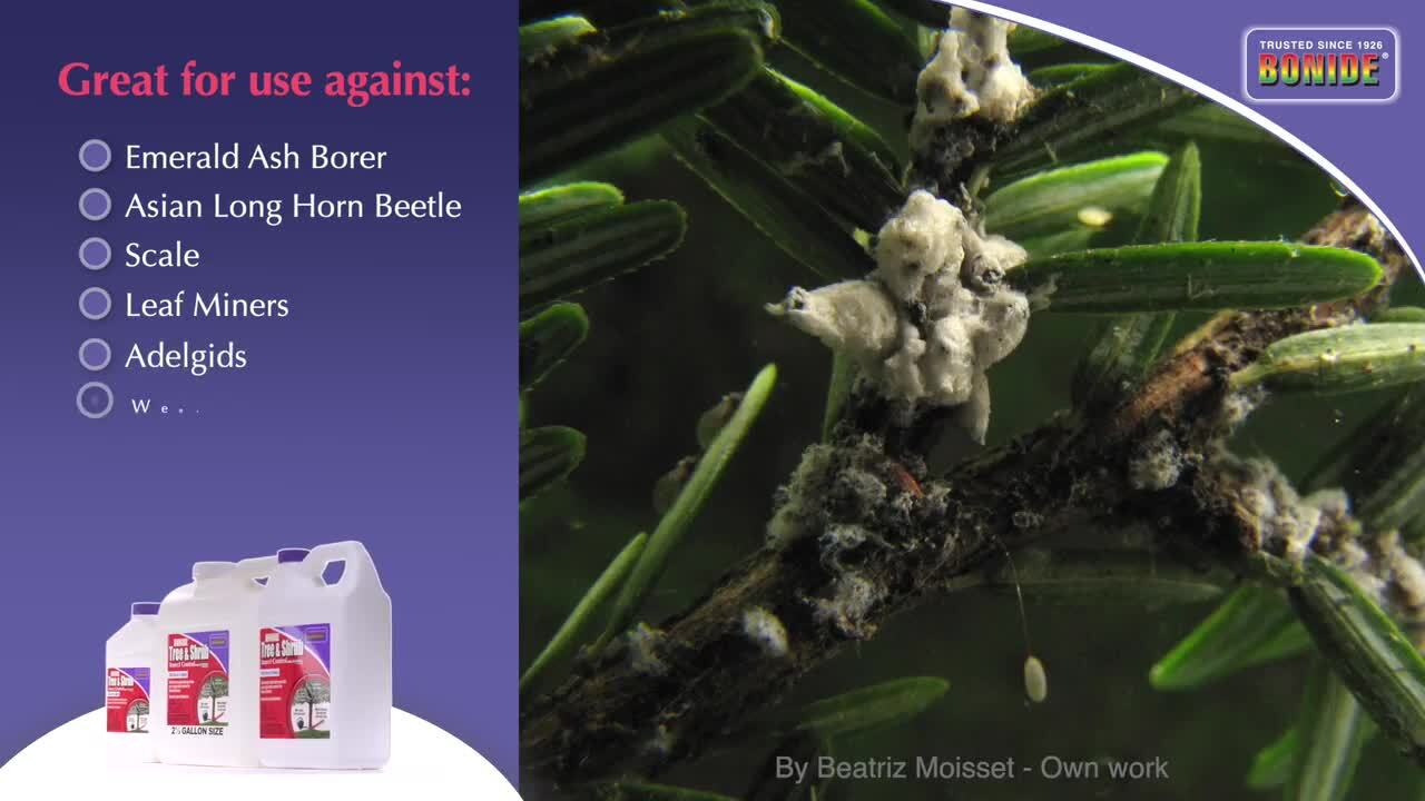 Have a question about Bonide Annual Tree and Shrub Insect