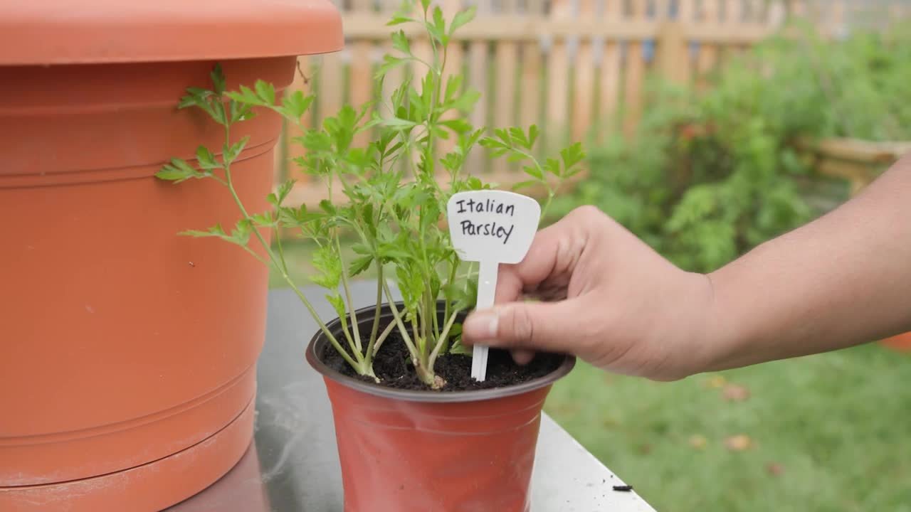 Vigoro Garden Plant Labels, Durable Plastic T-Labels for Outdoor