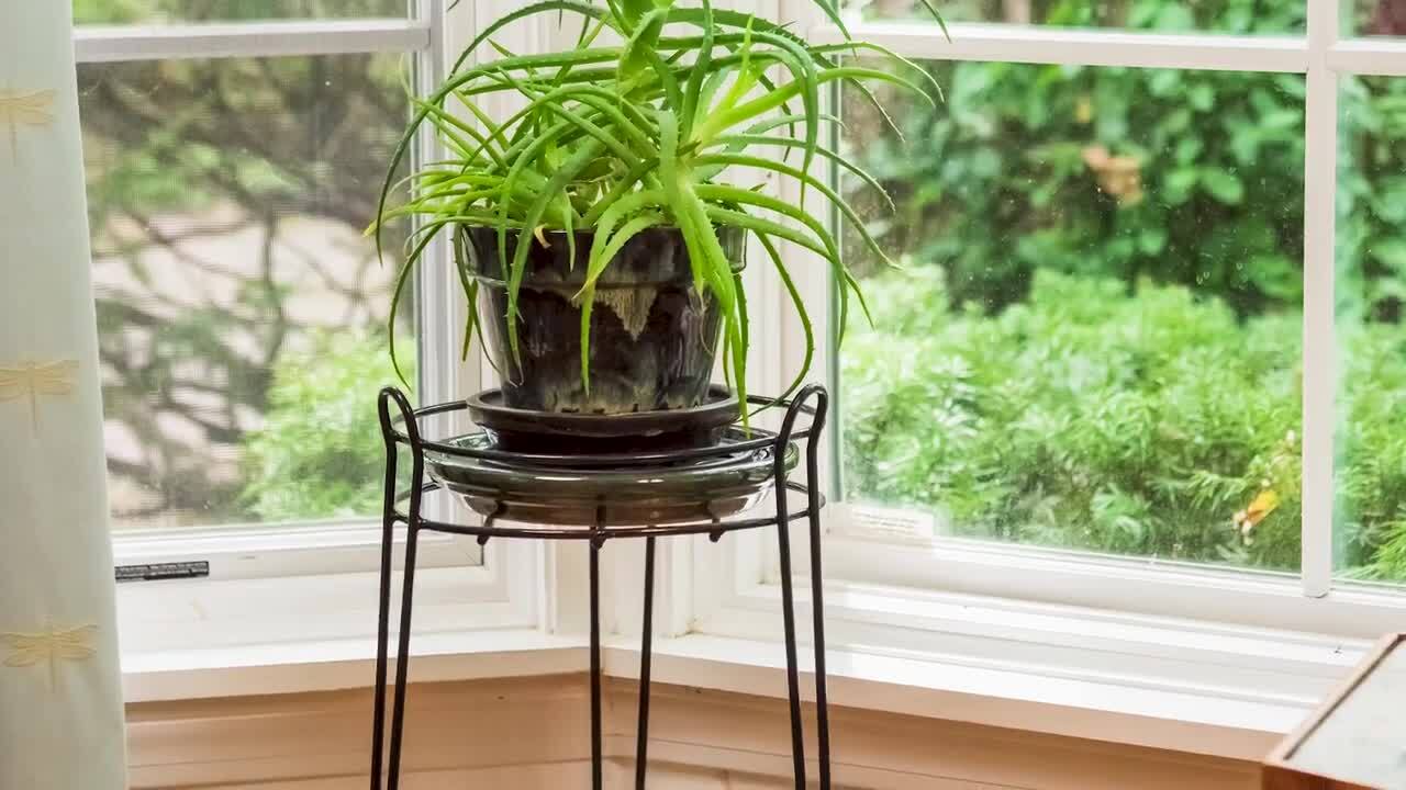 Herb Plant Stand from a Stand Up Shower Caddy