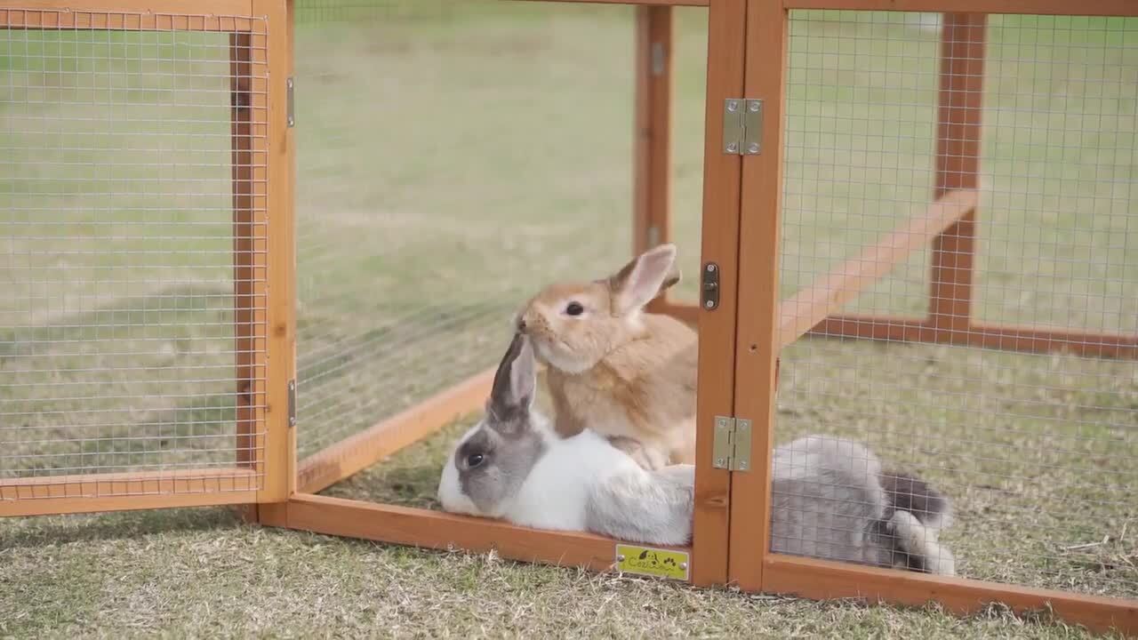 Diy Rabbit Tractor Cheap Rabbit Pen Bunny Hutch Diy Rabbit Run Diy