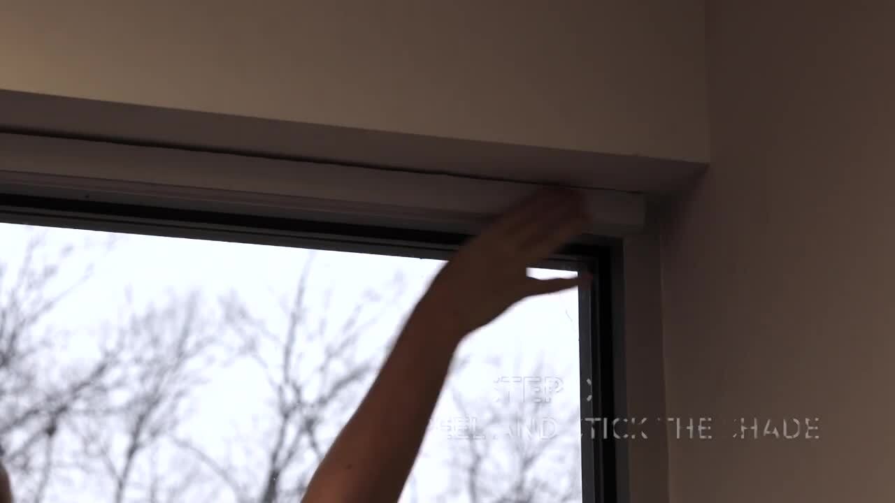 ACHIM 1-2-3 Black Cordless Room Darkening Pleated Vinyl Window