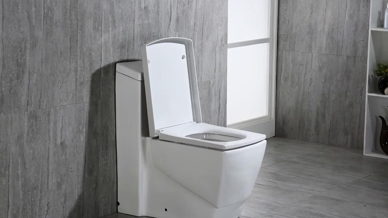 Prescott 1-Piece 1.0/1.6 GPF High Efficiency Square Elongated All-In One Toilet with Soft Closed Seat Included in White Prescott 1-Piece 1.0/1.6 GPF High Efficiency Square Elongated All-In One Toilet with Soft Closed Seat Included in White