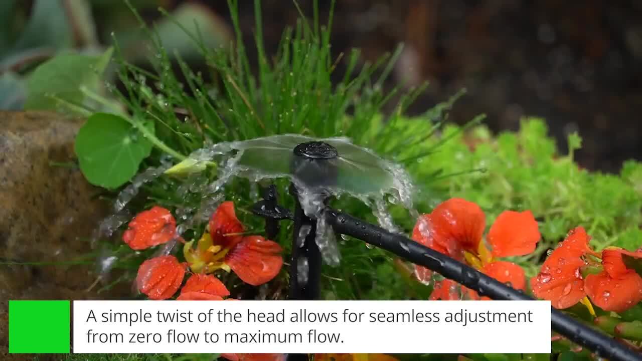 ばぶるす BUBBLES】ダブルバックルシューズ | sparkling mall online store