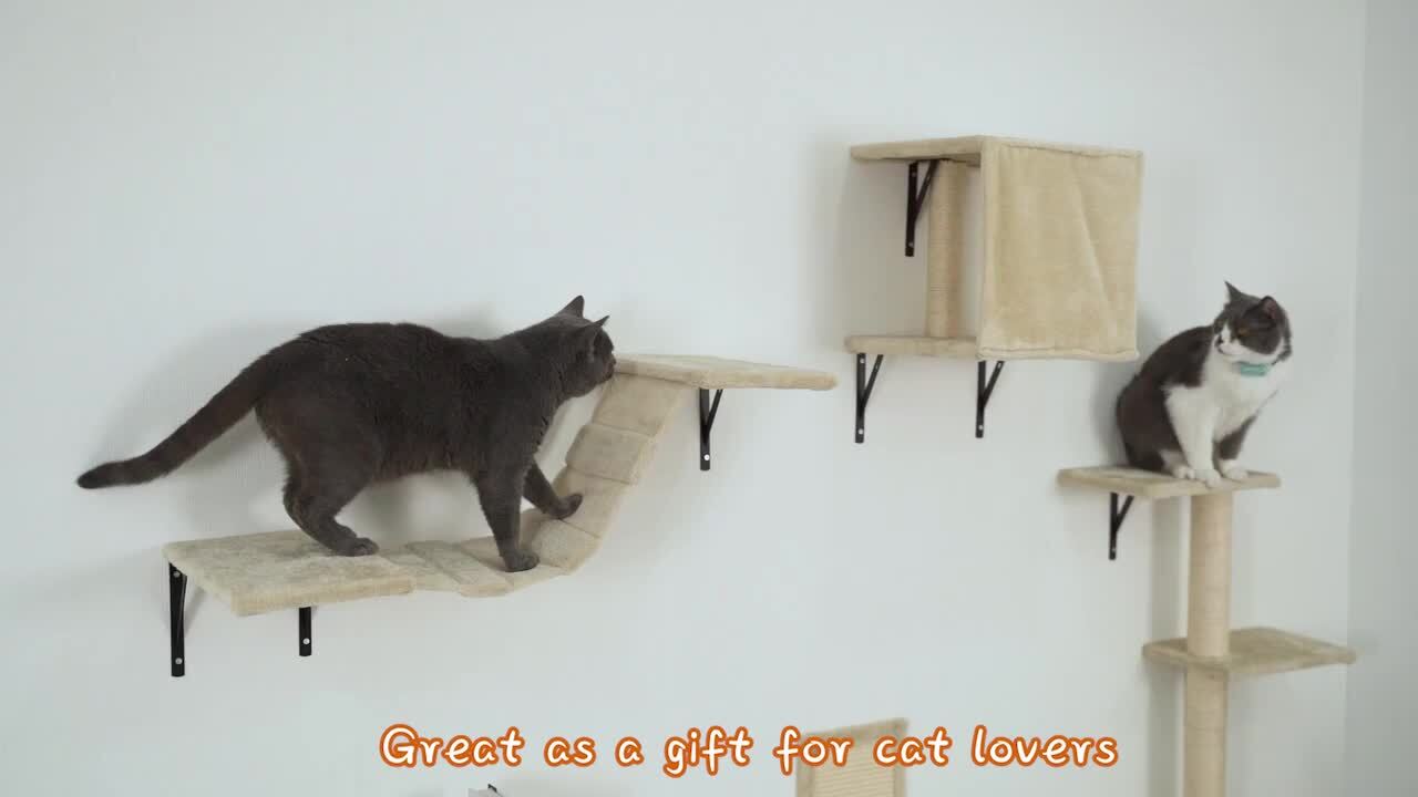 Cat walking outlet shelves