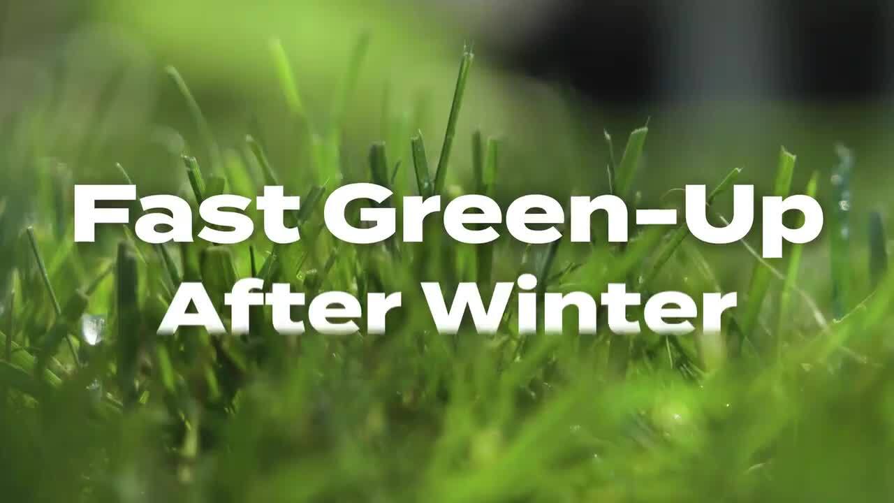 Scotts - Turf Builder 40.05 lbs. 15,000 sq. ft. Halts Crabgrass Preventer with Lawn Fertilizer