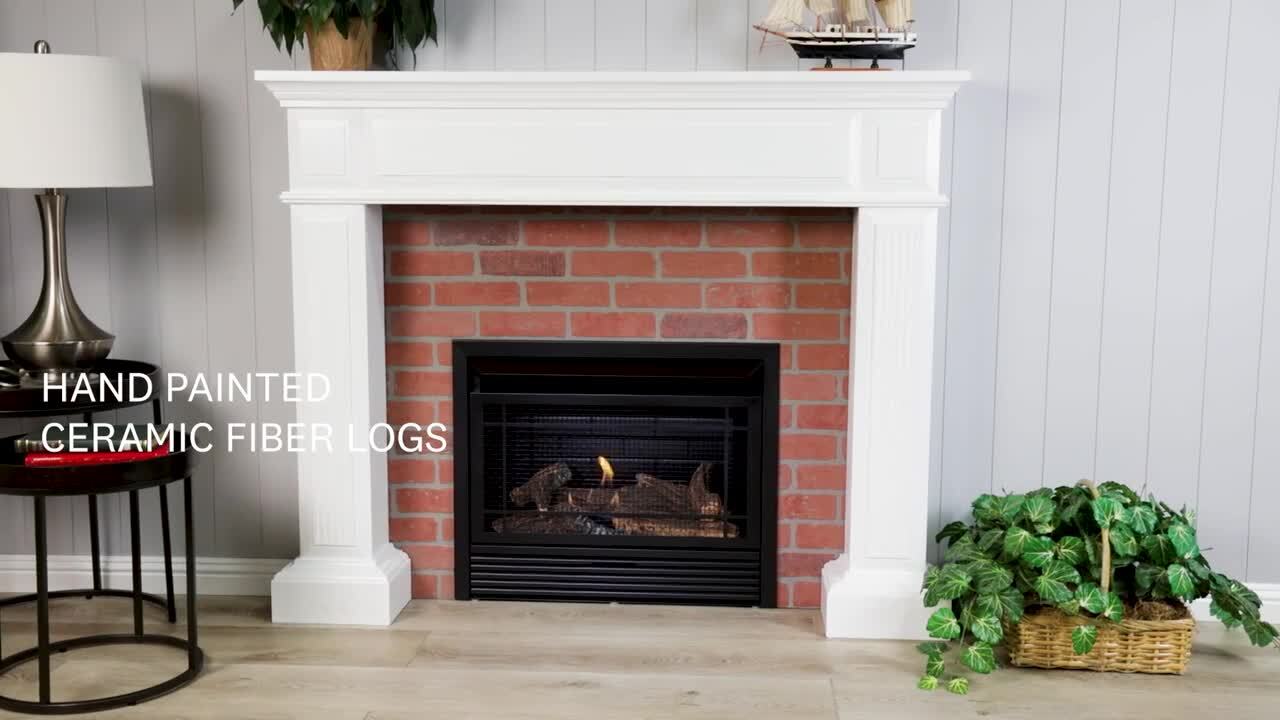 Duluth Forge Dual Fuel Ventless GasFireplace Insert - 26,000 BTU