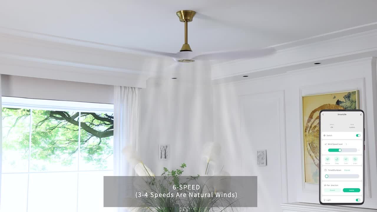 CACI Mall 60 in. Indoor/Outdoor Smart Nickel Ceiling Fan
