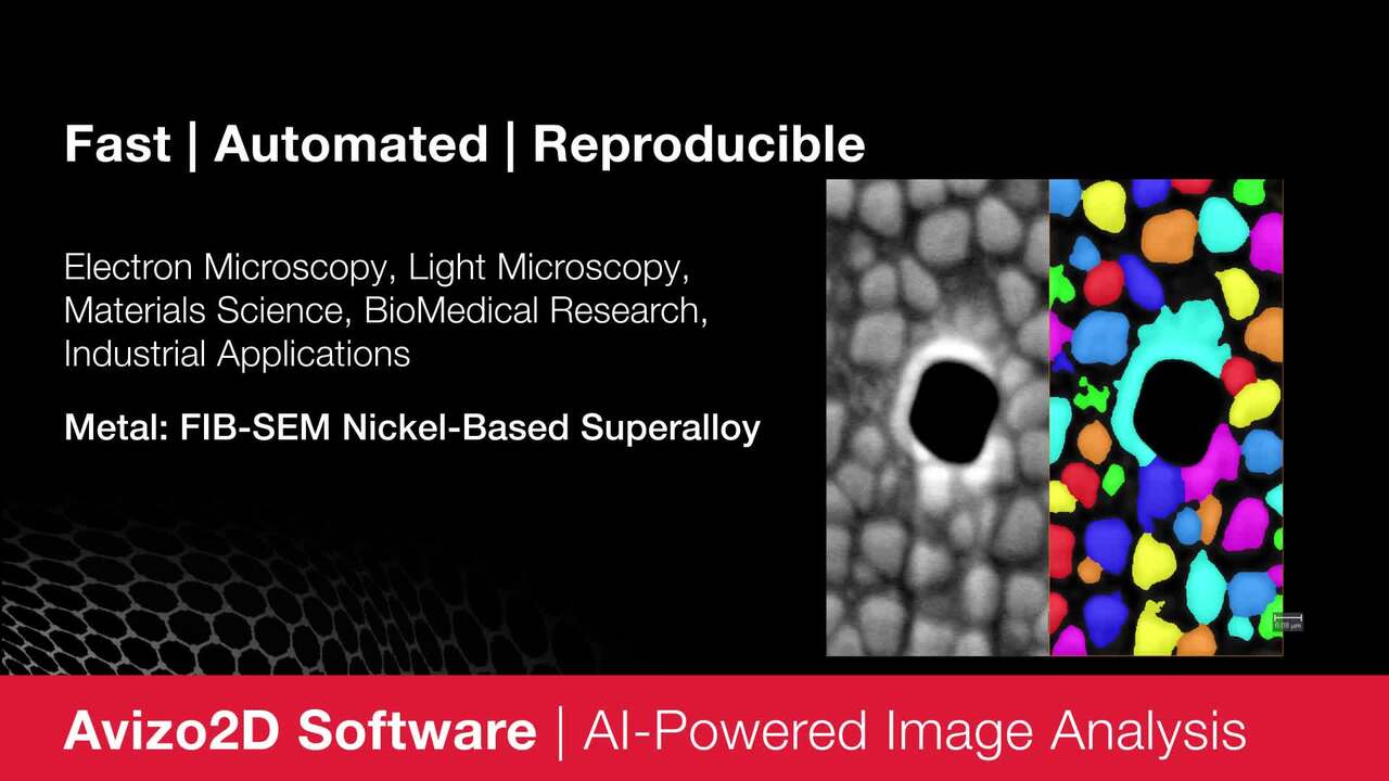 Avizo 2d Software For Materials Characterization Thermo - 