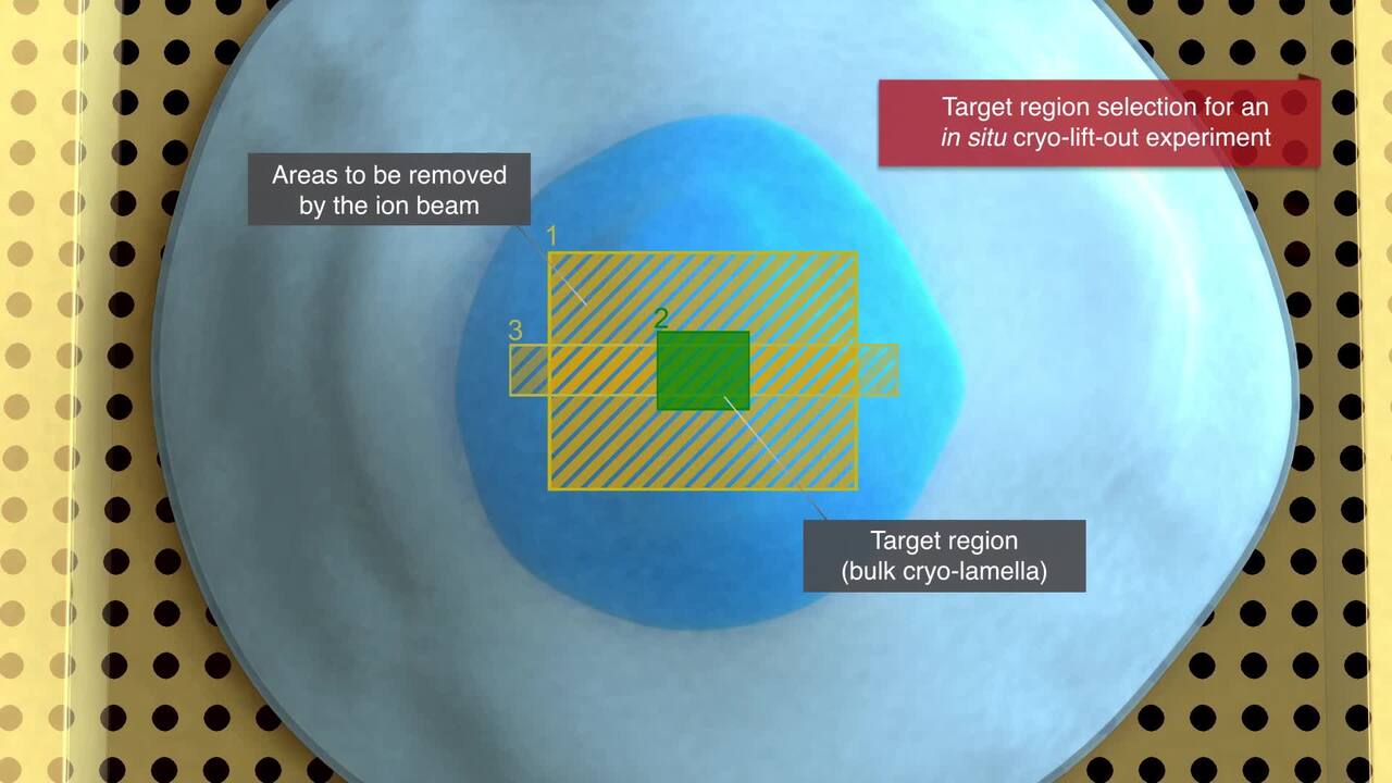 New Ion Source for Focused Ion Beams uses Cold Atomic Beam