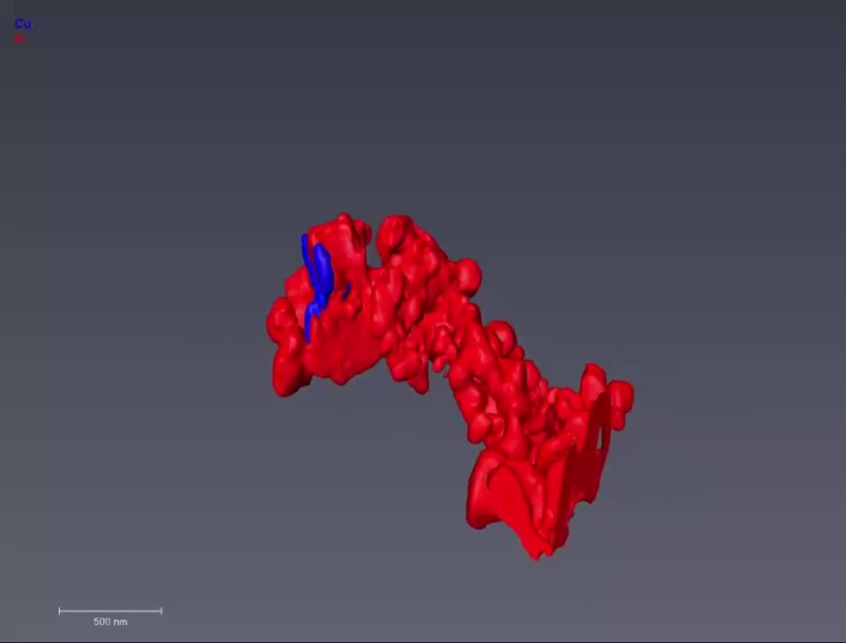 EDS tomography data of copper indium sulfide nanostructures