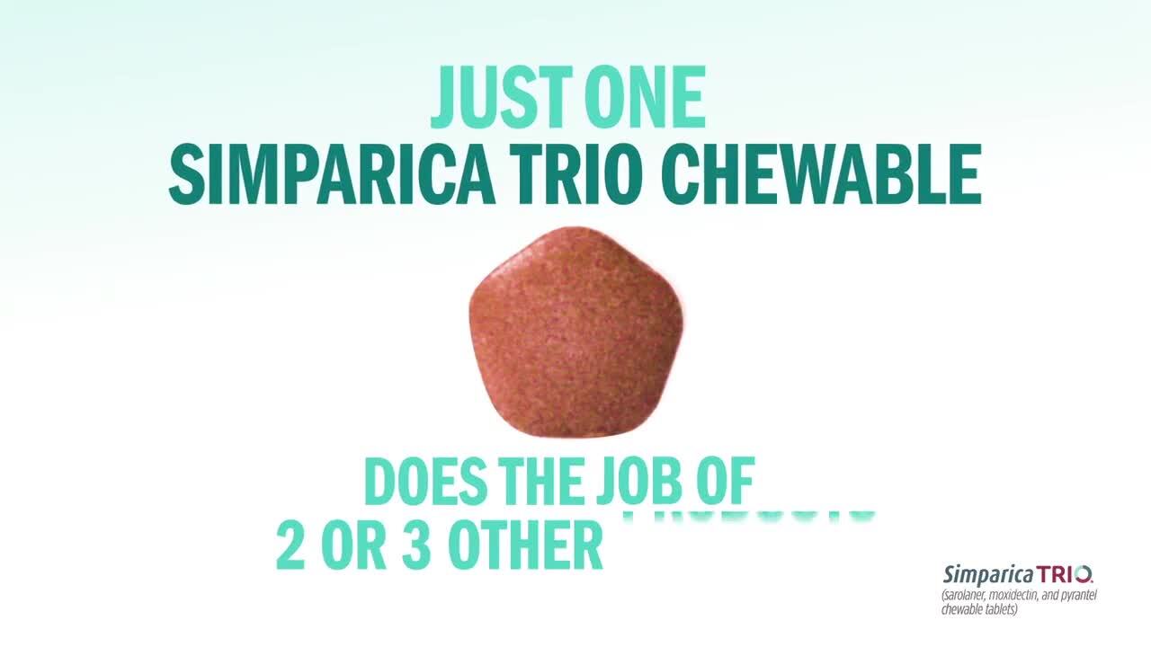 simparica and heartgard