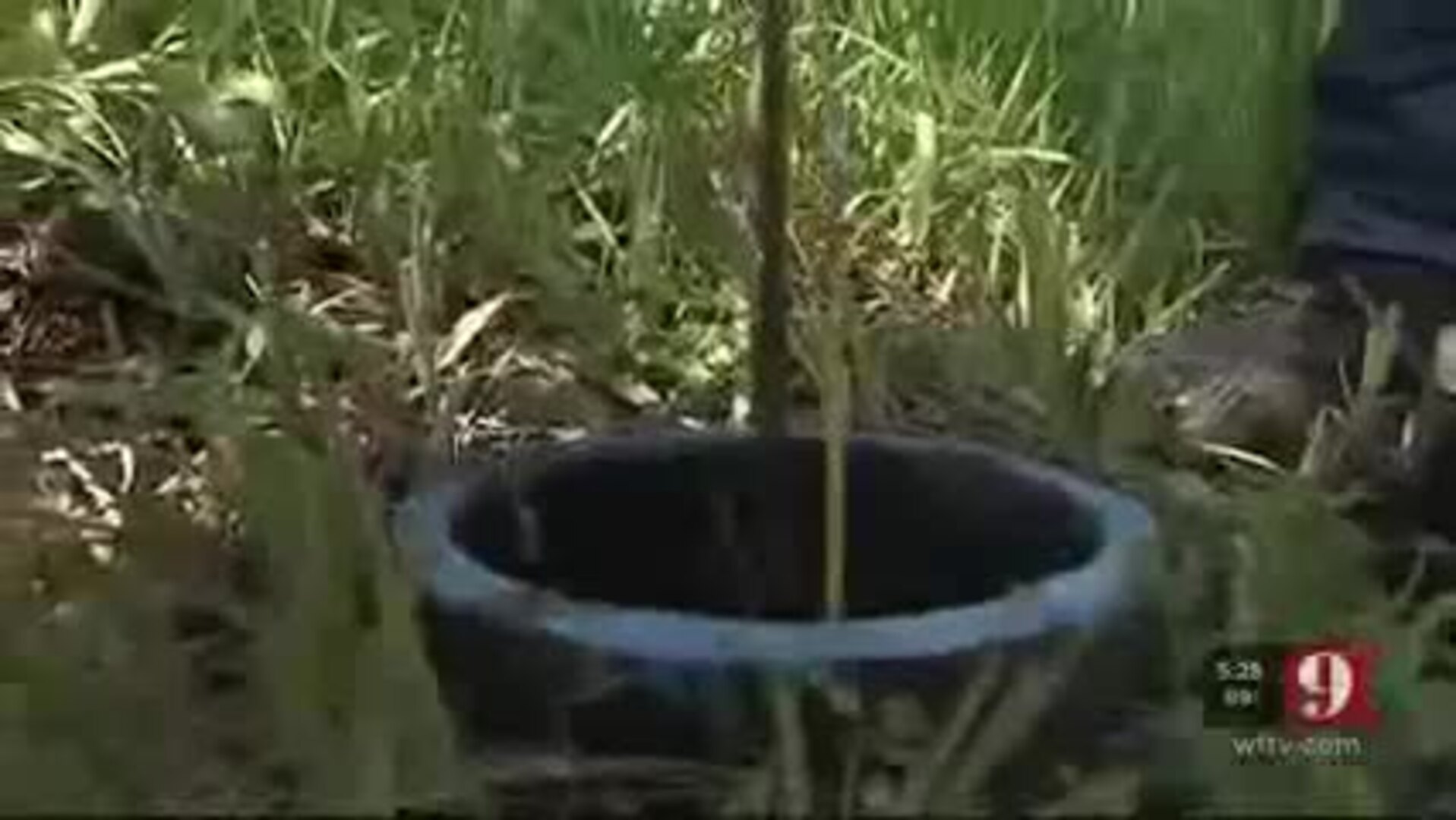 Aclara Acoustic Leak Detection in Orlando - WFTV 07 11 2017