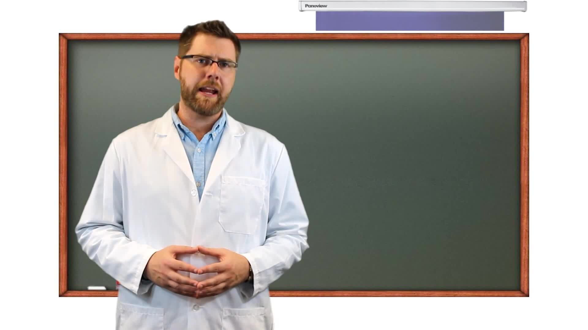 BURNDY WEEBisode Episode 2